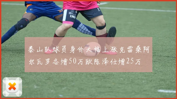 泰山队球员身价大幅上涨克雷桑阿尔瓦罗各增50万欧陈泽仕增25万
